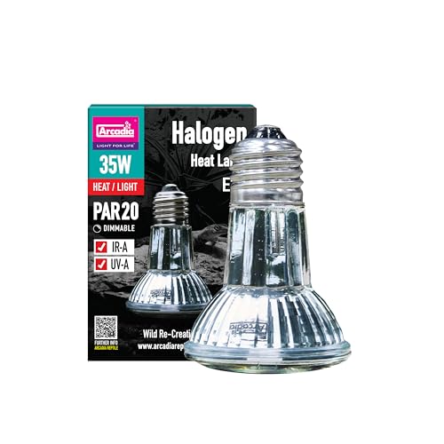 Arcadia Halogen Heat Lamp 35W Focused Beam Infrared & UVA Reptile Heat Lamp Bulb for Bearded Dragons Tortoises Turtle Tank and Terrariums Long Lasting Easy to Use Indoor Heat Bulb for Reptiles