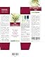 Pine oder Schottische Kiefer (Pinus sylvestris) Blütenmittel Naturalma - Tropfen 30 ml - Alkoholfreier Flüssigextrakt - Blütenessenzen - Vegan und alkoholfrei