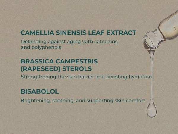 INNA ORGANIC Rejuvenating Lotion, Anti-aging, Wrinkle Care, Fine Lines & Tightening, EWG & COSMOS Certified | Chirstmas gift | Frankincense Essential Oils Infused Skin Care | Luxury Clean Beauty - Image 5