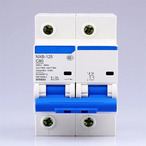 Disjoncteur NXB-125 2P AC 400V 100A déclencheur courbe C tableau électrique