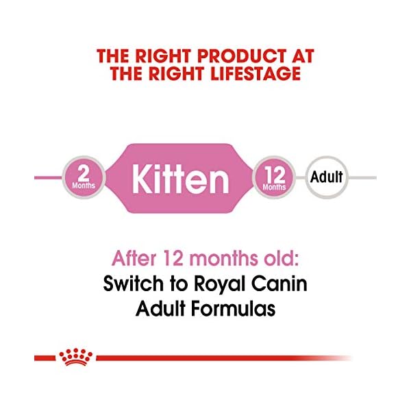 ROYAL CANIN Feline Health Nutrition Kitten Dry cat Food, 15-Pound by Royal Canin – Bild 5