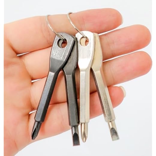Stainless Steel Mini Pocket Screwdriver Set - 2 PCS Keychain-Ready Outdoor & Everyday Tool (Black & Silver)
