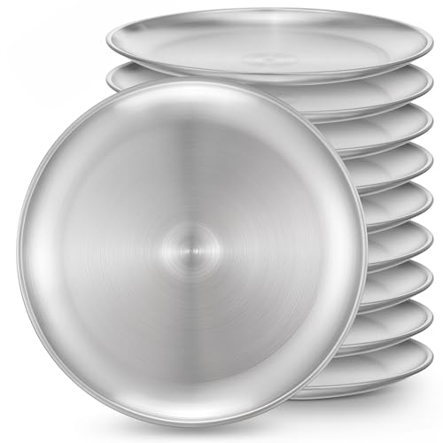 wutfuooo 10Pcs Stainless Steel Dinner Plates, 10