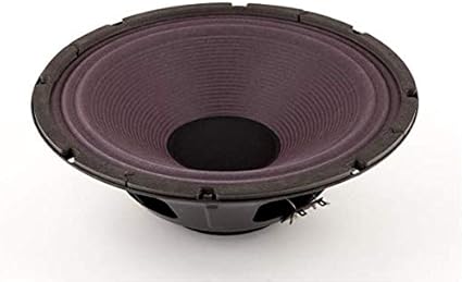 Fender 12 inch speaker Clearance