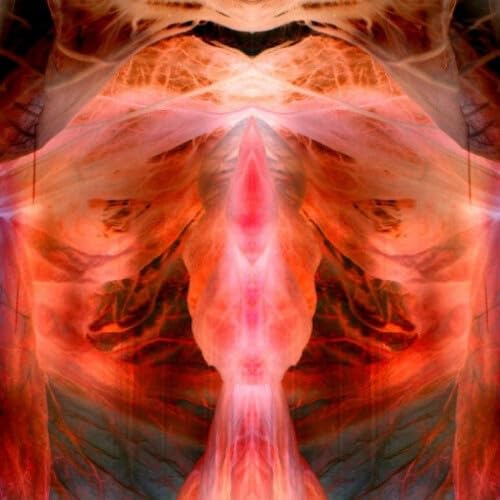 Anihilating Angel/Or Surface of The World