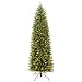 Puleo International 7.5 Foot Pre-Lit Fraser Fir Pencil Artificial Christmas Tree with 350 UL Listed Clear Lights, Green