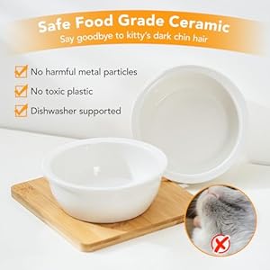 Elevated Pet Bowls for Cats & Small Dogs, Natural Bamboo with Ceramic Raised Small Dog Bowls, Cat Food Dish Bowls Elevated and 15° Tilted, Whisker Friendly, Dishwasher Safe