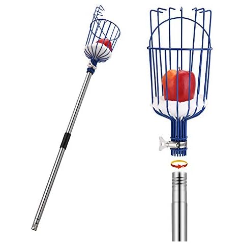 MaidMAX Fruit Picker, 13 Foot (4M) Fruit Picker Pole with Basket Apple Orange Picker Tool Gardening Picks with Lightweight Stainless Steel Connecting Pole, Sturdy Basket with Foam Pad, Metal Clamp Cover