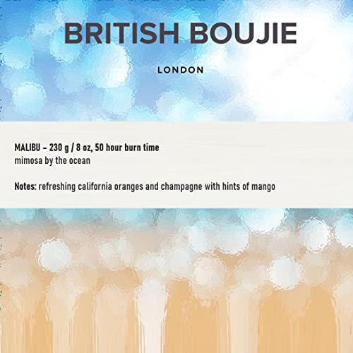 Premium Scented Candle in Box - Mimosa Luxurious Highly Scented Fragrance with Long Burn time - Large 280gm Natural Wax - Scented Candle Gifts for Women & Men (Malibu) - Image 5