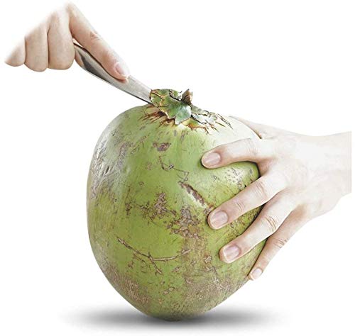 SUKHAD Stainless Steel Coconut Opener for Fresh Green Young Coconut Water, 3 X 0.5 X 6.5 Inch, Silver 4