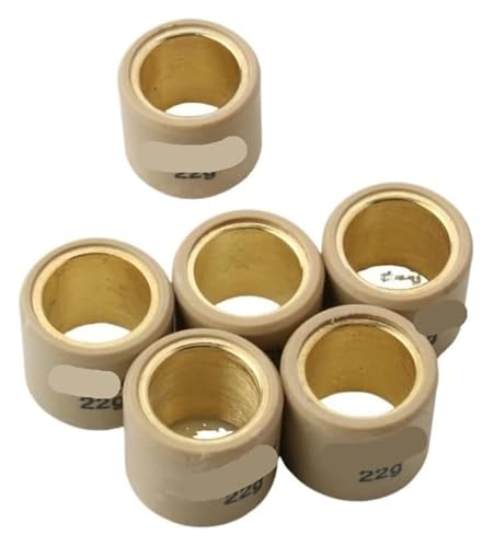 Masselottes variateur 25x22 mm pour vos trajets quotidiens en scooter Nexus 500