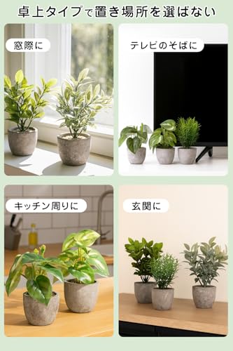 【インテリアコーディネーター監修】飾るだけじゃない フェイクグリーン 5点セット『空気を清浄化してくれる光触媒加工ｘ小ぶりなサイズで置き場所を選ばない』 [5]