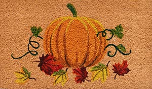 Calloway Mills 121982436 Nature's Bounty Doormat, 24" x 36"