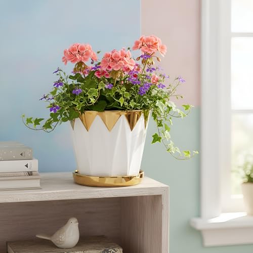 Image of Xtore Striking Geometric Ceramic Planter with Gold Accents & Drainage Tray | Sculpted Indoor Plant Pot for Tabletop, Desk & Living Space Styling (White & Gold) - Planter only
