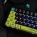 REDQIN PBT Keycaps - Jade Double Shot PBT Keycaps RSA Profile Shine Through Translucent Custom Set for Mechanical Keyboard (Green, 129-Key)