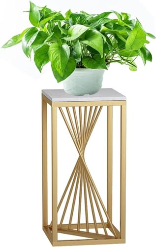 WQNB t[X^h v^[X^hACA 嗝Α 2i i  t[X^h Aؔ v^[X^h  S[h ϗtA    t[ X^h k  (60cm,zCg)