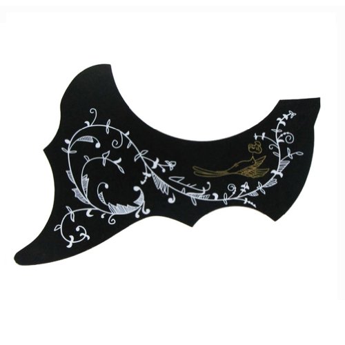 Musiclily Hummingbird modello autoadesive Sunbird