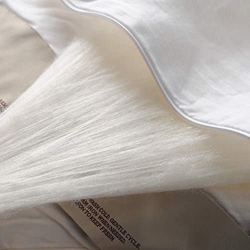 Cuddle Dreams Silk Comforter For Spring/Summer/Fall, 100% Long-Strand Silk Filling, Natural & Breathable (King, 102 In X 90 In) #TOP4