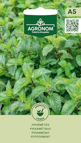AGRONOM | Graines de Menthe poivrée | Graines de fleurs | Graines de plantes | Plante aromatique vivace, adaptée aux pots, aux jardins d'herbes aromatiques | Graines de jardin | 1 paquet