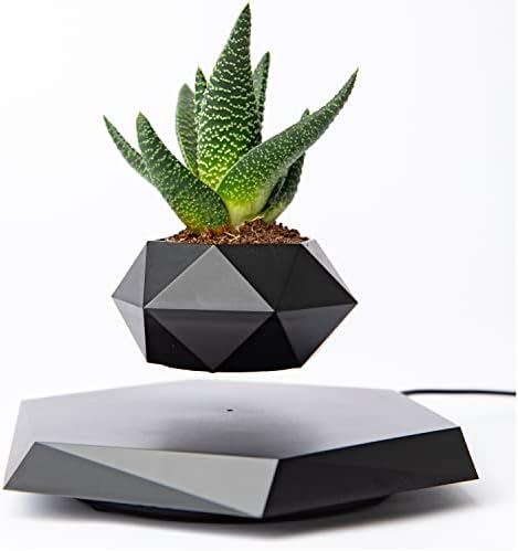 BandD Floating Plant Pot - for Succulents, air Bonsai & air Plants for Home, Office & Desk Decor. Magnetic Levitating Display. (Black)