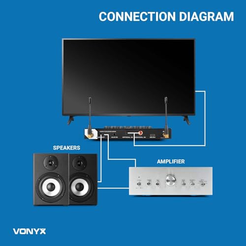 Micro Karaoke avec Double Micro sans Fil Vonyx AV510 Écho Réglable