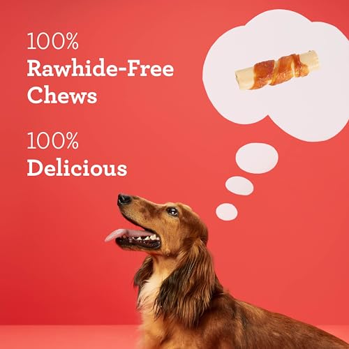 DreamBone Mini Sticks Wrapped With Real Chicken, Rawhide Free Dog Chew Sticks, 15 Count - Image 5