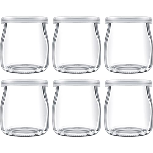 Danmu Art 6 barattoli di vetro da 200 ml per