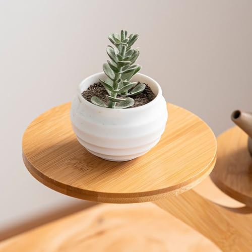 Support de plante en bois compact pour casser le manque d'espace intérieur - 7