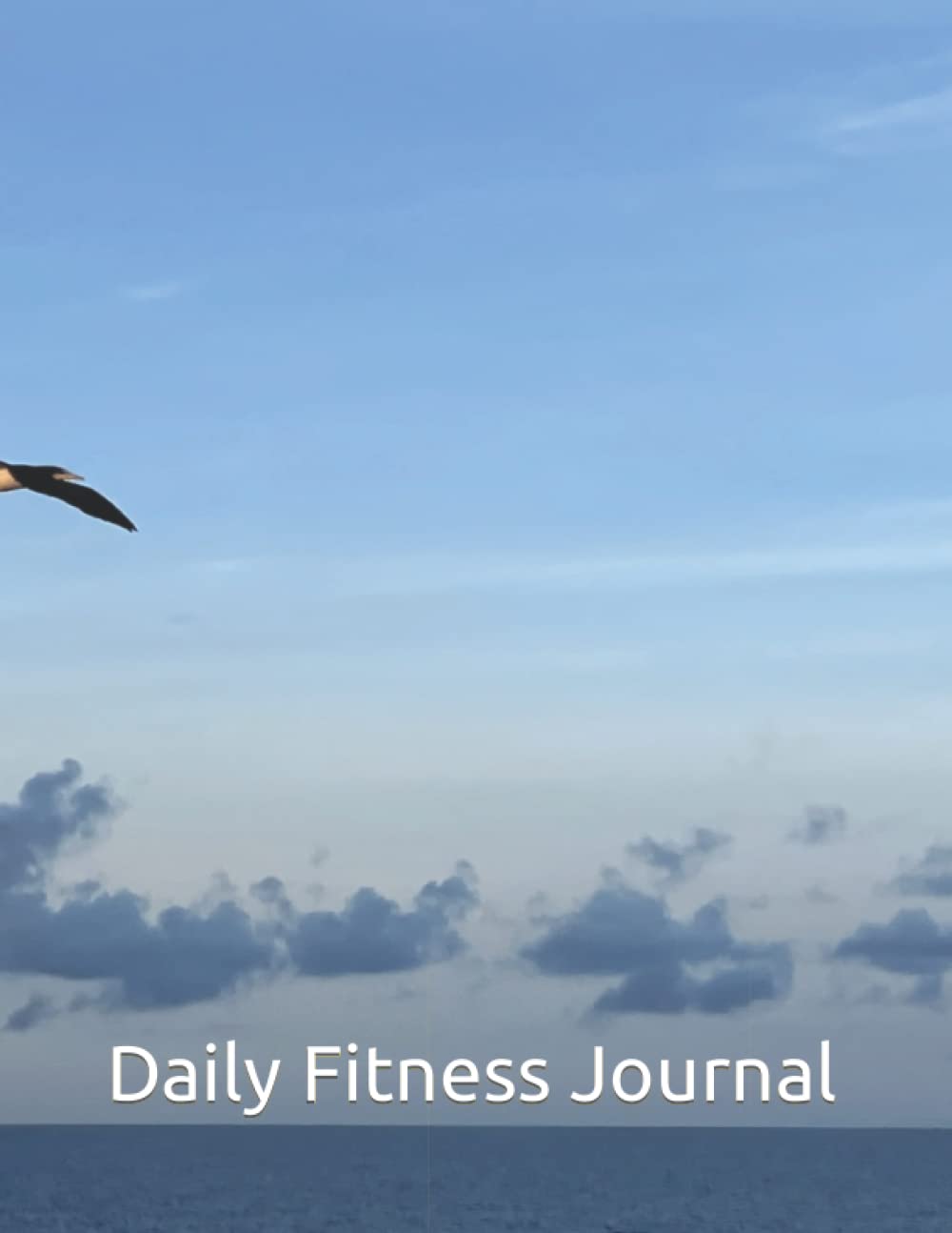 Daily Fitness Journal