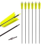Lamehfyo 31" Carbon Arrows Target Flu-Flu Arrows Spine 500 Hunting and Target Practice Arrows wit...