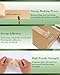 Lichamp 2-Pack Water Activated Kraft Paper Tape, 2.75