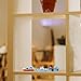 NUOBESTY Miniature Dollhouse Fishing Boat Model Mediterranean Decor Resin Desktop Boat Ornament Ocean Beach Micro Landscape Decoration, Random Styles 4pcs