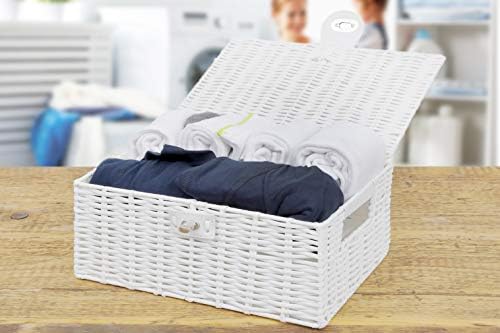Arpan Medium Resin Woven Storage Basket Box with Lid & Lock - White