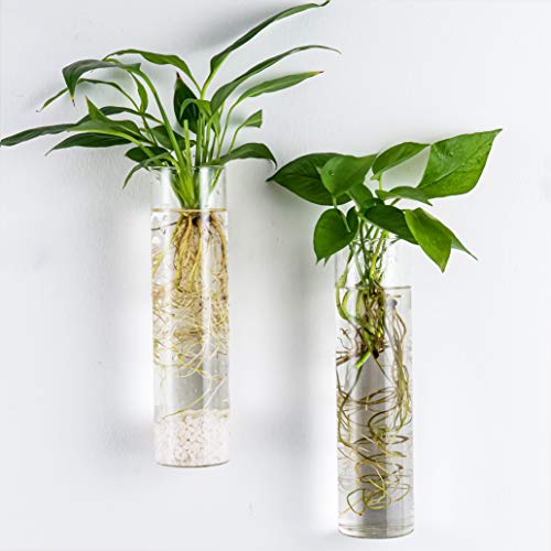 Kingbuy Wall Hanging Planter Glass Plant Propagation Station For Home Decor, Large Cylinder, 2 Pack #TOP3