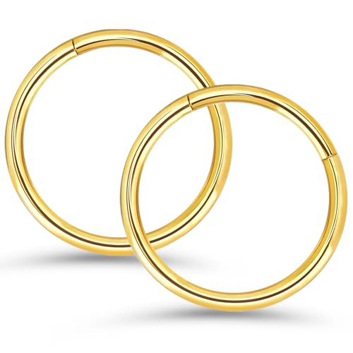 316l Surgical Steel Hinged Nose Rings Hoop 20G 18G 16G Nose Hoop Diameter 6mm 7mm 8mm 9mm 10mm 12mm Septum Ring Cartilage Earrings Nose Piercing Jewelry Ear Clicker, Gold - Silver - Black