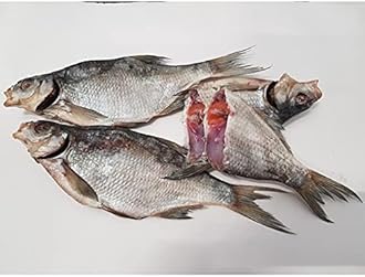 Dried Salted Lesh Fish (Jerky) Premium Quality