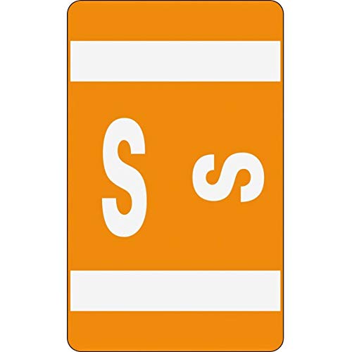 Smead Alphaz Accs Color-Coded Alphabetic Label S, Orange, 100 Labels Per Pack (67189) #TOP3