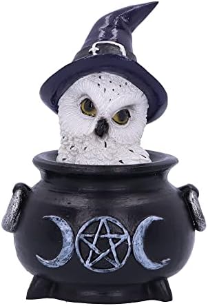 Nemesis Now Owl's Brew 10cm, Black