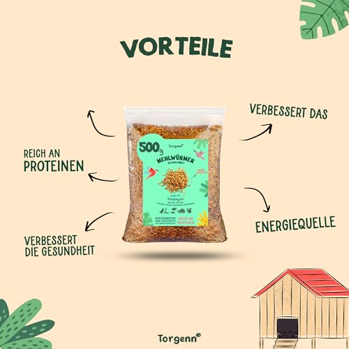 Vogelfutter Torgenn – Getrocknete Mehlwürmer 500g für Wildvögel und Tiere