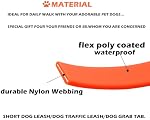 Poignée de chien court - Chiens imperméables En laisse 10 Inch 3/4" Traffic Pet Lead Training Chien Leads Handle Grab Tab Backup Pet Car Leash pour petits chiens de taille moyenne (Hot Pink & Bleu ciel)