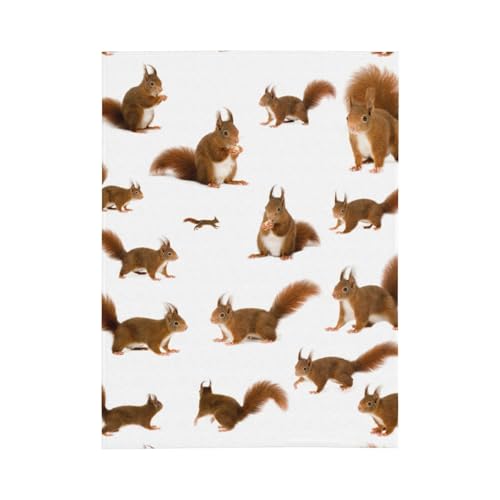 Couverture flanelle écureuil chaude stop au froid plaid lit sofa