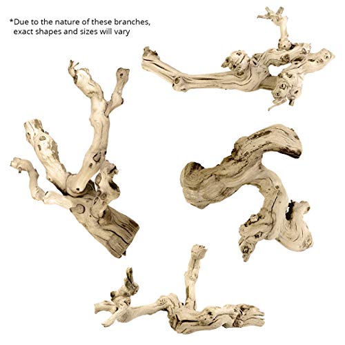 Koyal Natural Grapewood Vine Branch, 6-Inch - Thumbnail 2