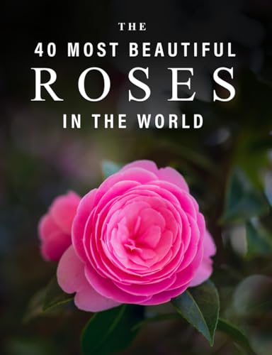 The 40 Most Beautiful Roses in the World: A full color picture book for Seniors with Alzheimer's or Dementia (Vibrant Wonders Picture Books)