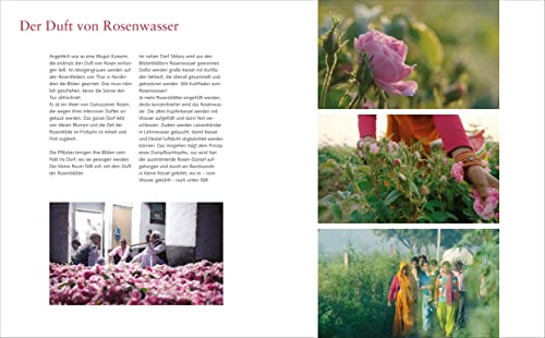 Zauber des Orients: Eine fantastische Reise zu den schönsten Gärten von Marokko bis Indien - 8