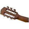 Fender CN-60S Concert Nylon String Acoustic Guitar, Natural