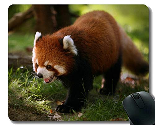 Yanteng}EXpbhtXeb`GbWÃWCAgp_A}EX}bgA~߃o[x[X}EXpbhibvgbvpjARs[^