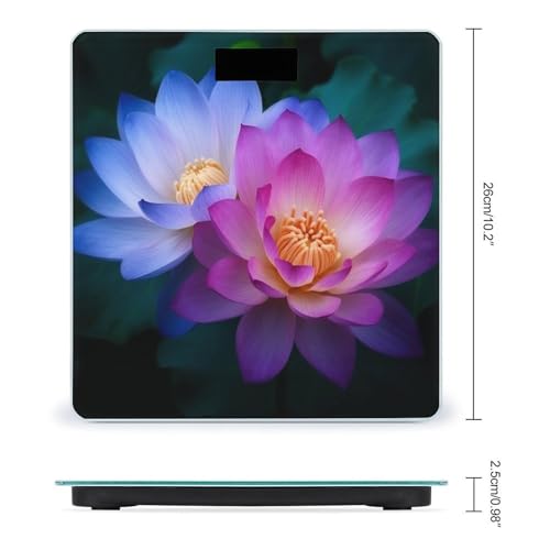 Báscula digital de baño con capacidad 400 lb y pantalla LCD miniatura 2
