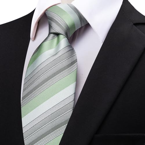 Image of YourTies Men's Neckties Striped Tie and Plaid Neckties for Men Woven Silk Tie Gold Tie Clip Set