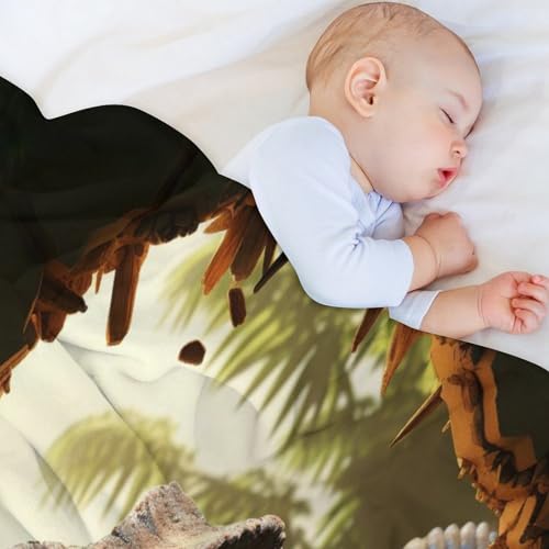 Couverture plaid dinosaure très doux, cadeau enfant idéal
