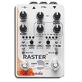 Raster 2 - Digital Delay Pedal
